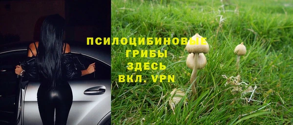 твердый Володарск