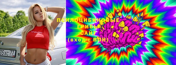 твердый Володарск