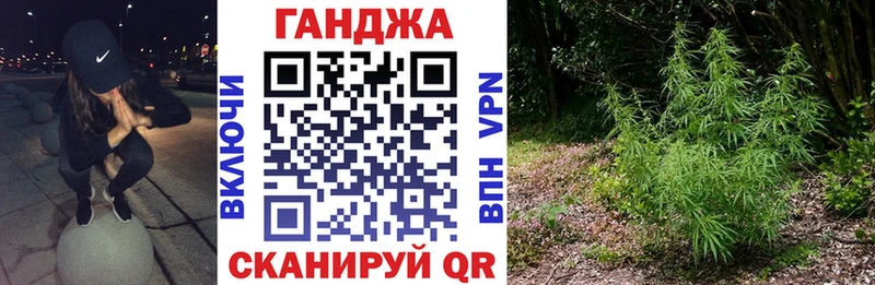 Купить  Снежинск  Бошки марихуана план 